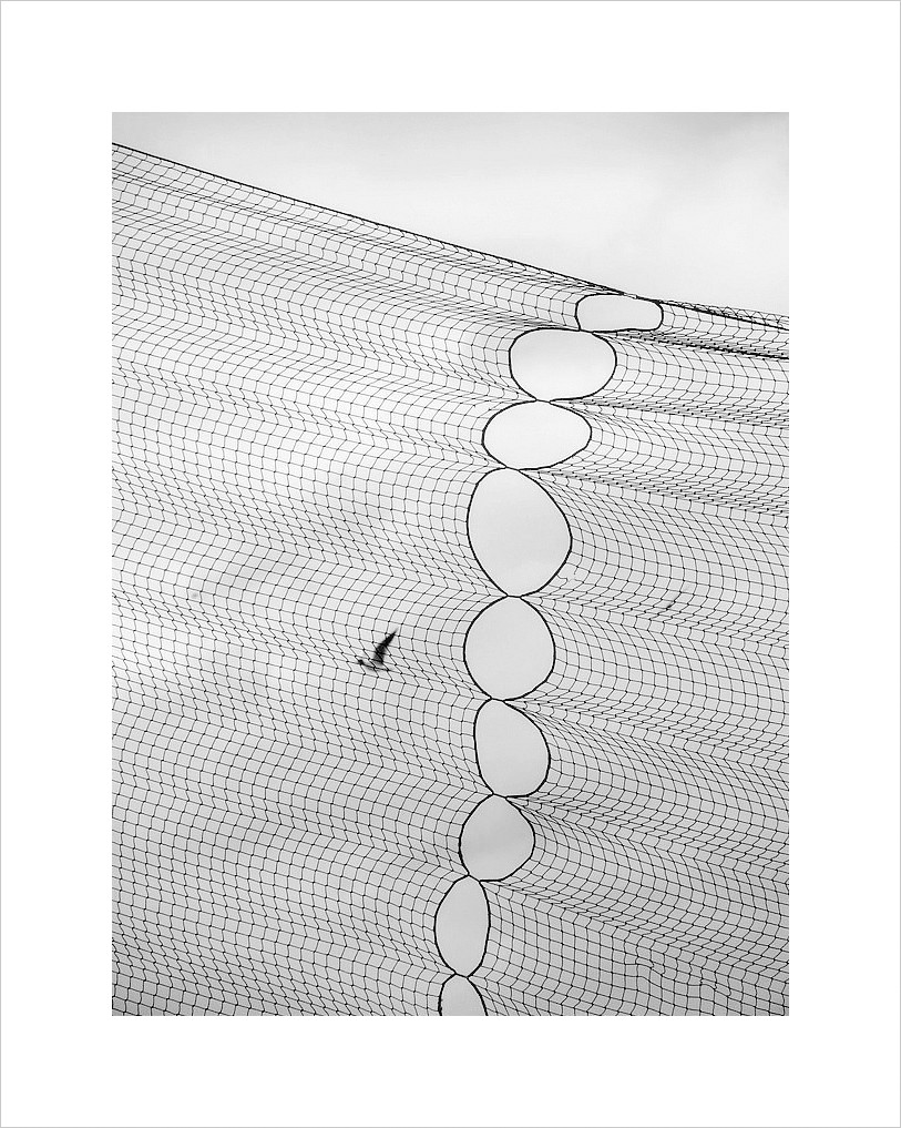 Svobodu neošálíš...