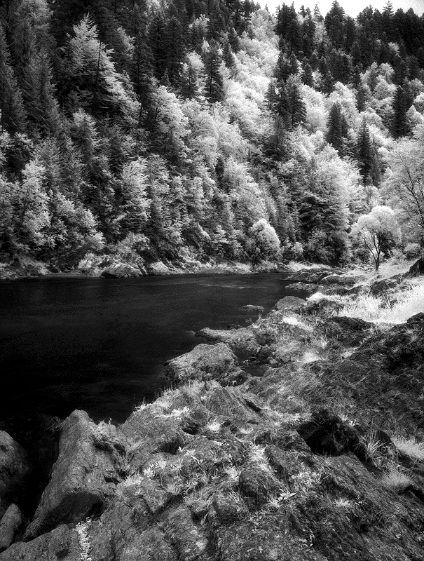 Dunajec, Pieniny