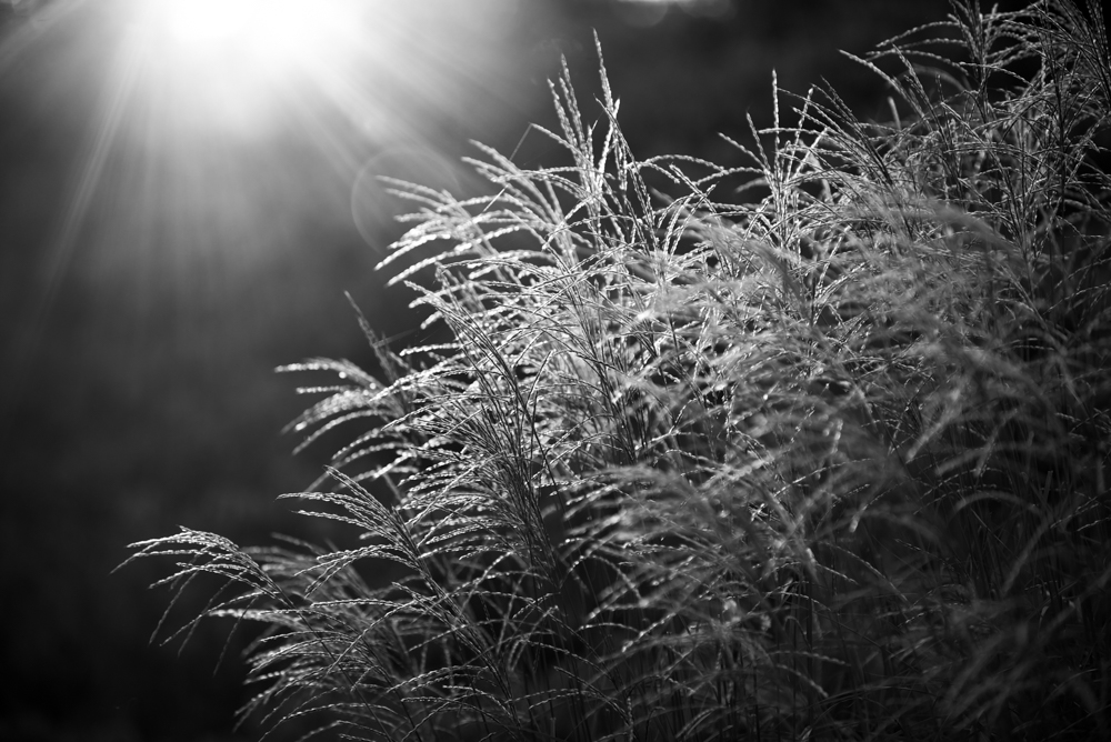 MoML 20. října 2014