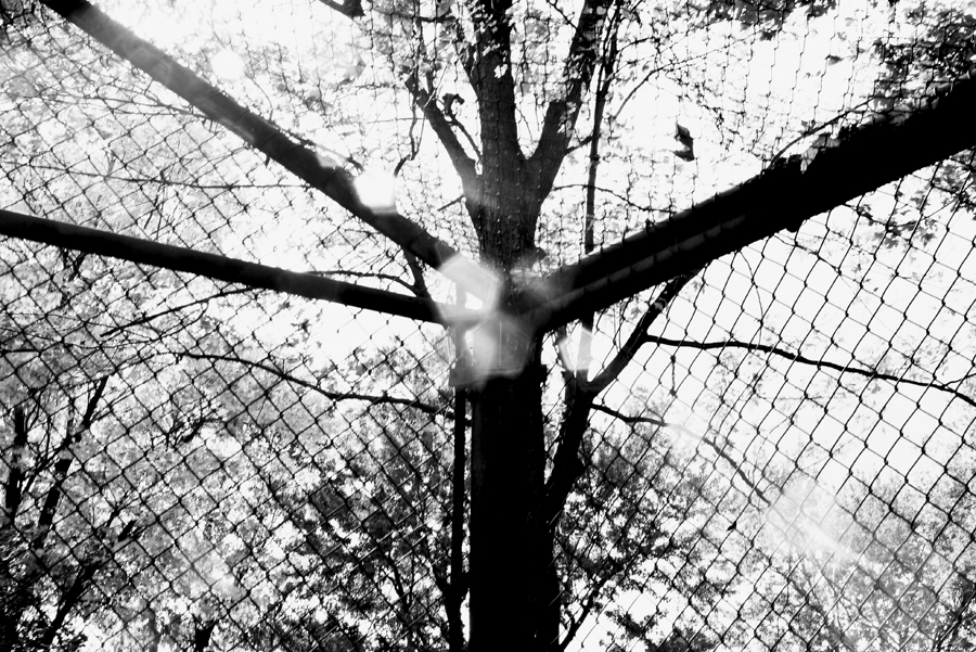 sportovni klec v parku