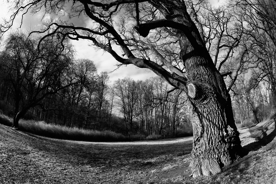Park
