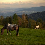 Podzimní krajina