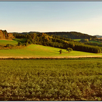 Pozdní odpoledne .....