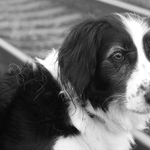 Páníčku, ujelo nám to!