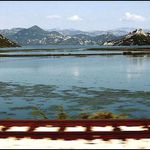 Skadarské jezero II.