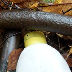 Tak si tady tak společně hnijem