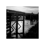 večer na brehu rieky