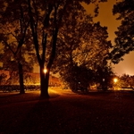 V parku na Vyšehradě