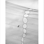 Svobodu neošálíš...