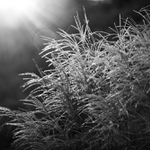 MoML 20. října 2014