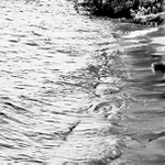 na brehu ponekolikate