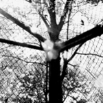 sportovni klec v parku