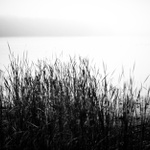 rybník Černiš dneska ráno