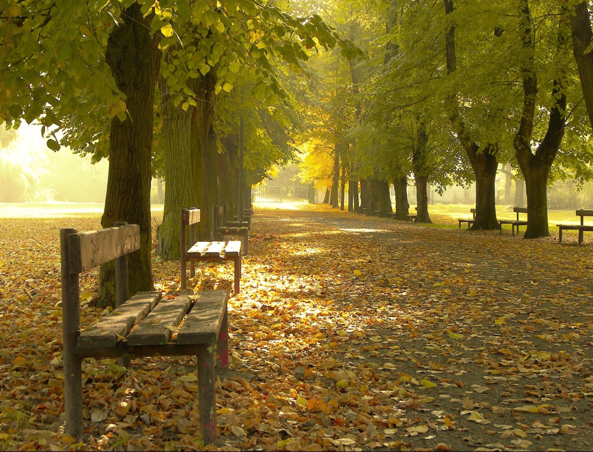 V parku na podzim