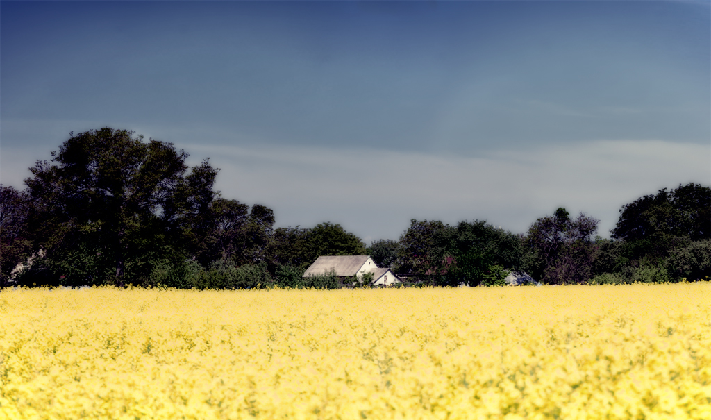 chalúpka II (domček v stráni)