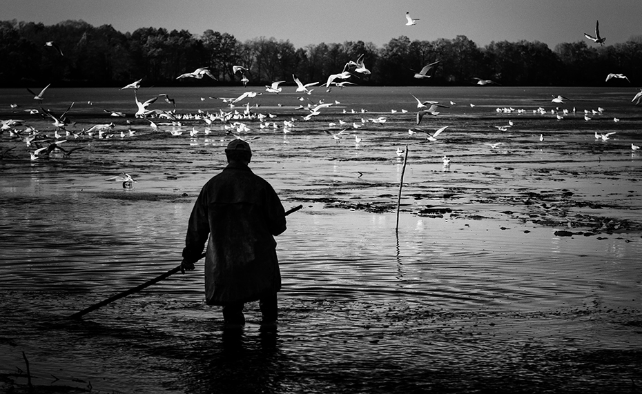 „rackopas“ („čajkopastier“)