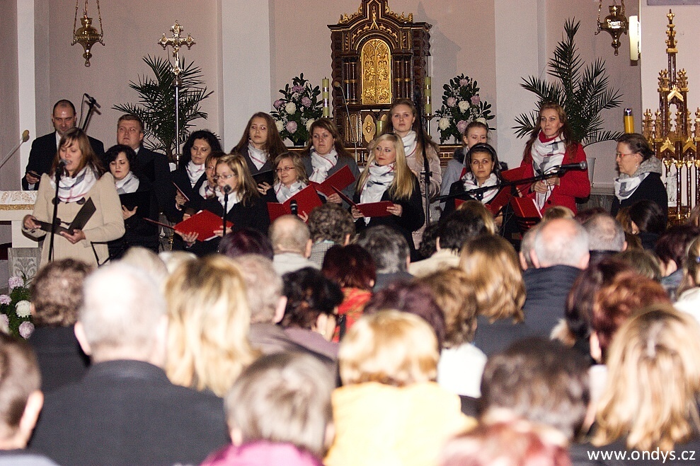 Koncert Scholy