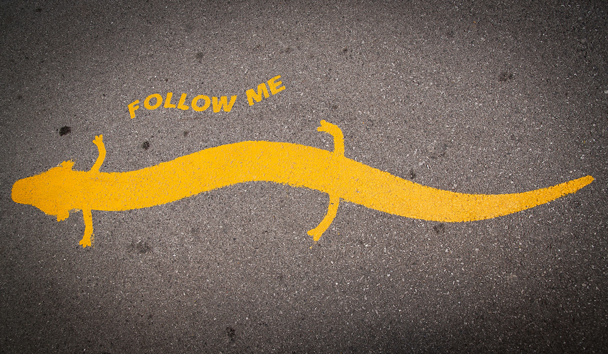 Follow me