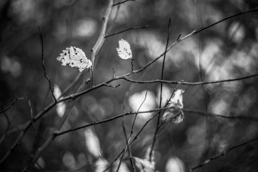 Podzimní optimismus