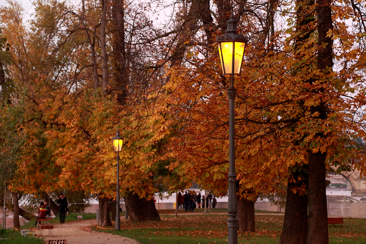 večer - Střelecký ostrov