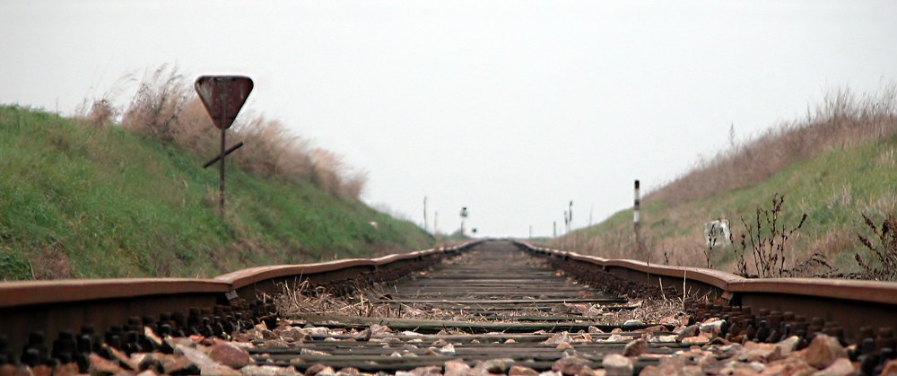Koleje