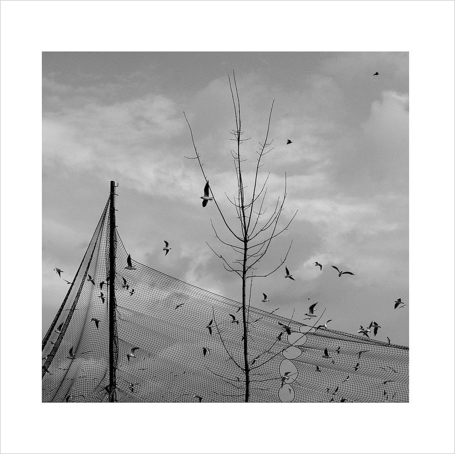 Svobodu nespoutáš...