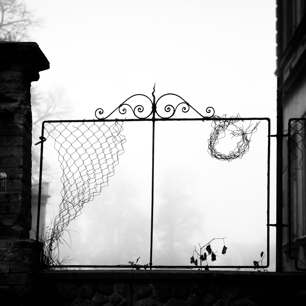 (crazy) Movember - MoML 3. listopadu 2014