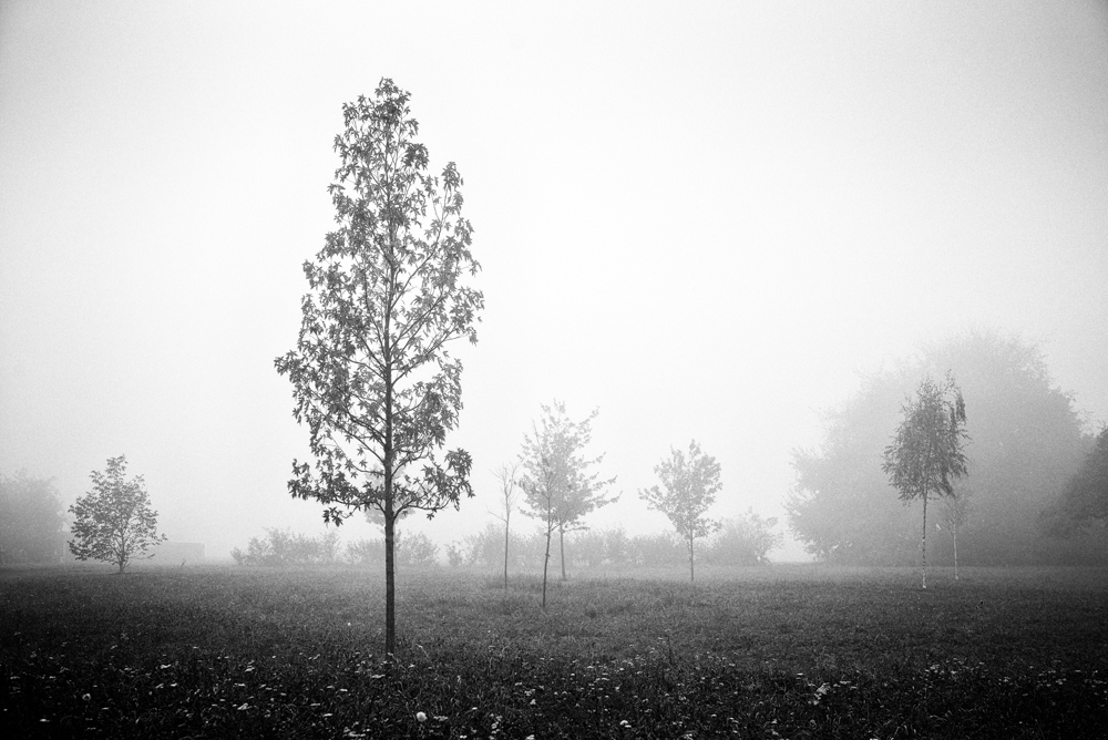 MoML 6. listopadu 2014