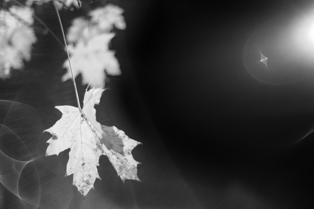 Blízká setkání třetího druhu - MoML 18. listopadu 2014