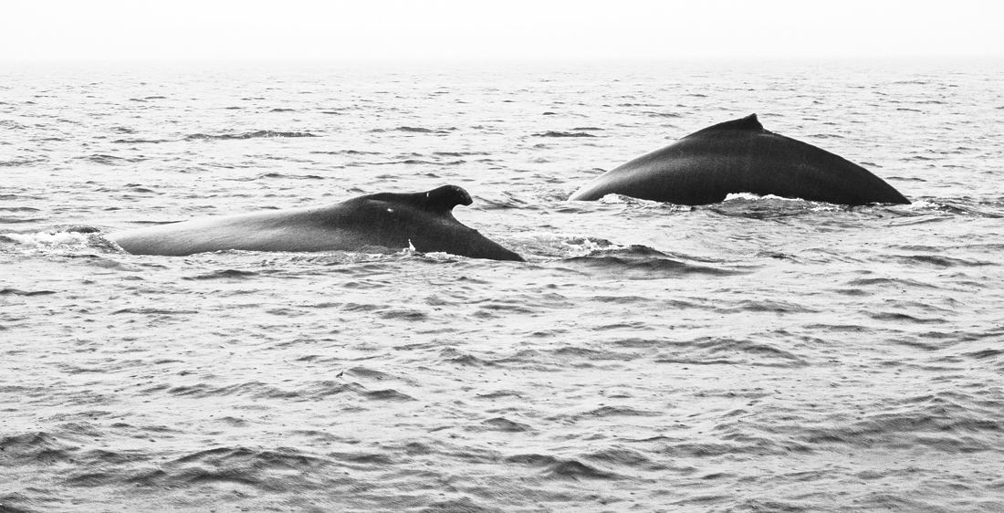 projizdka na mori ( Atlantic )