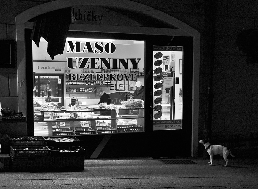chutě