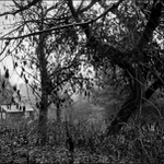 Tudy přijde něco zlého