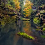 Krokodýl v Hřensku