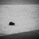 ... prebytočná ...