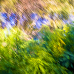 Jesenná impresia II