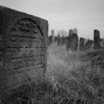 Židovský hřbitov #1