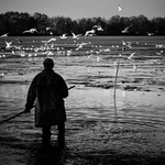 „rackopas“ („čajkopastier“)