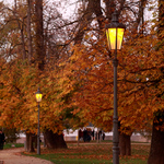 večer - Střelecký ostrov