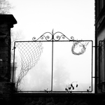 (crazy) Movember - MoML 3. listopadu 2014