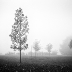 MoML 6. listopadu 2014