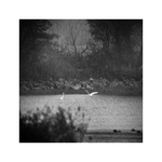 odchody a návraty...