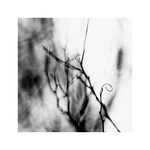 čierno biely svet...