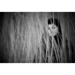 stratená nič nevidí...