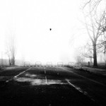 Mlha, co by se dala krajet / Cestou do prace