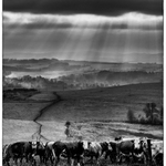 Všichni jsme boží hovádka..