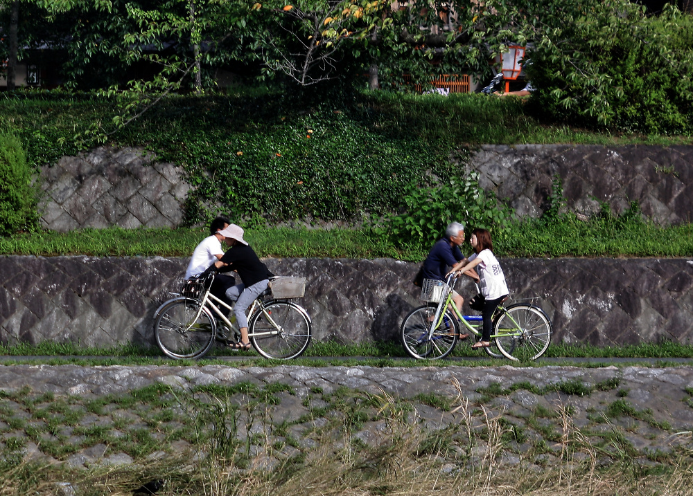 Japonská dvoukola