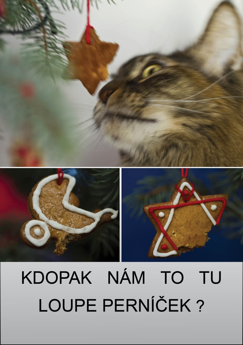 chycena při činu