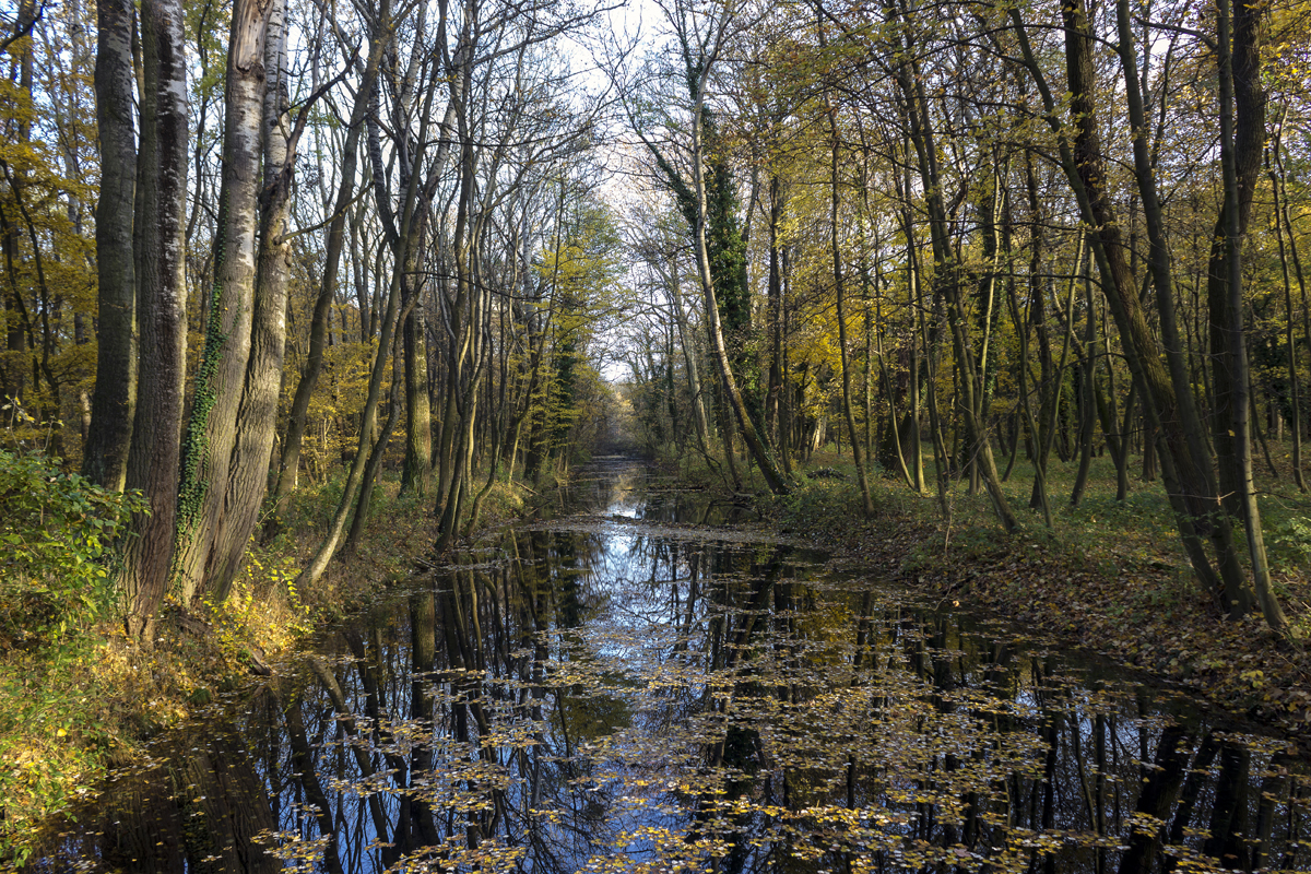 Dunajská nížina-1