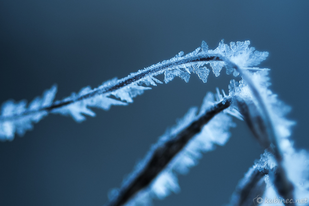 Frozen