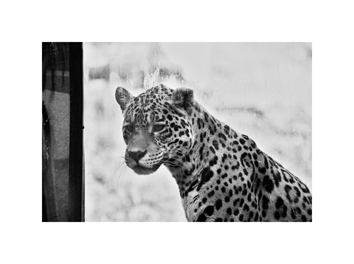 zasnený pohlad do výkladu s potravinami....